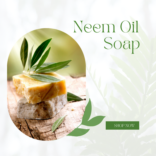 NEEM CLEAN